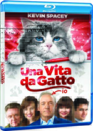 Nine Lives - Una Vita Da Gatto