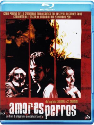 Amores Perros